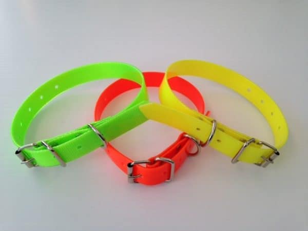 Collars Archives - Slaneyside Kennels