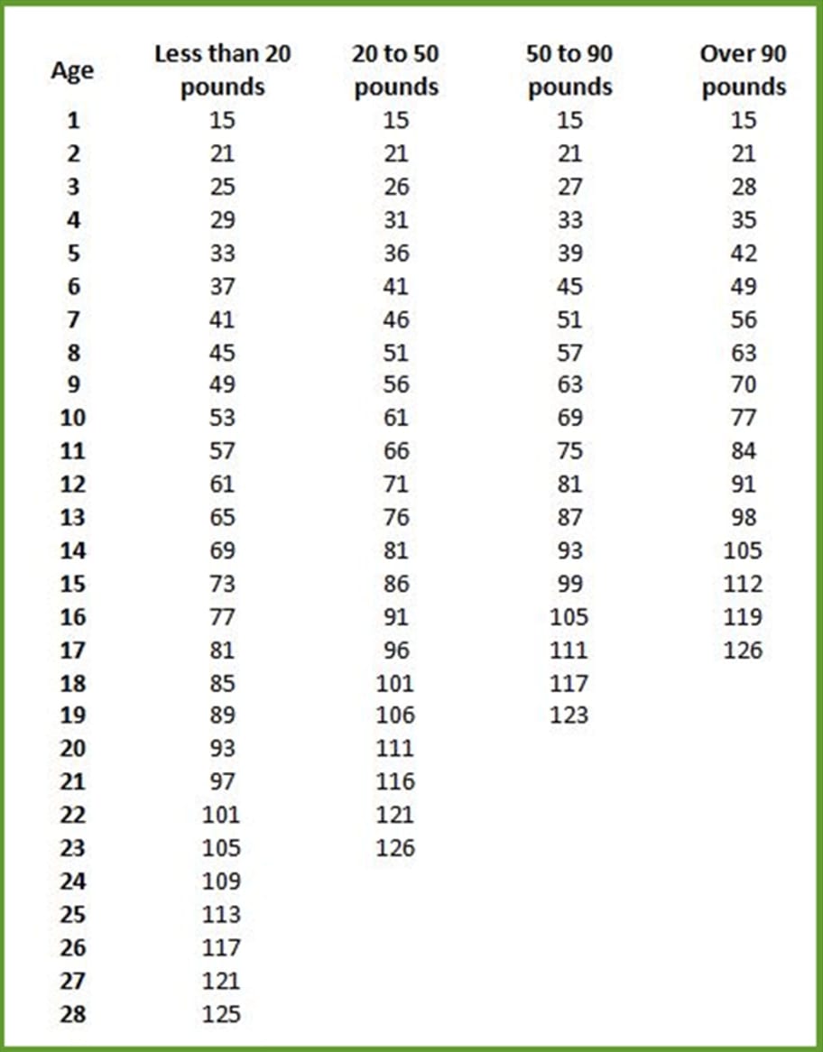 How Long Do Dogs Live? - Slaneyside Kennels