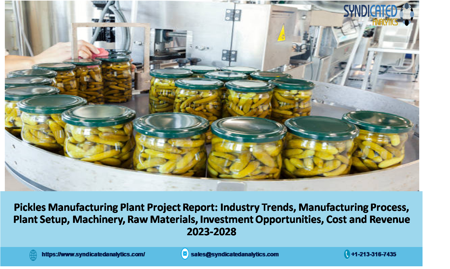 Pickles Manufacturing Project Report 2023-2028: Industry Trends, Plant Cost