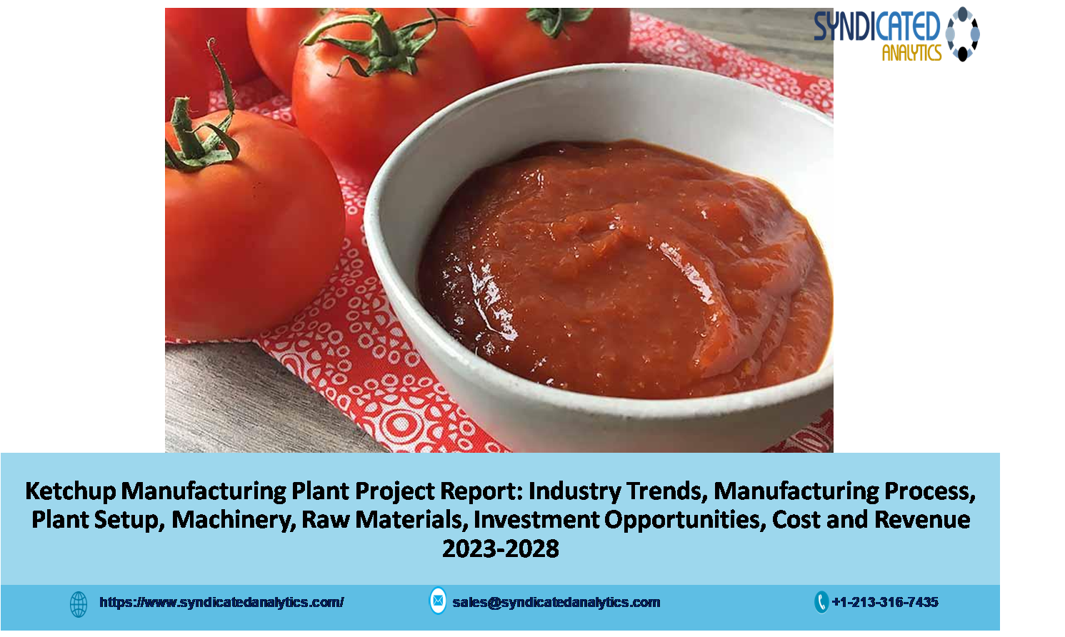 Ketchup Manufacturing Plant 2023-2028: Project Report, Plant Cost, Business Plan
