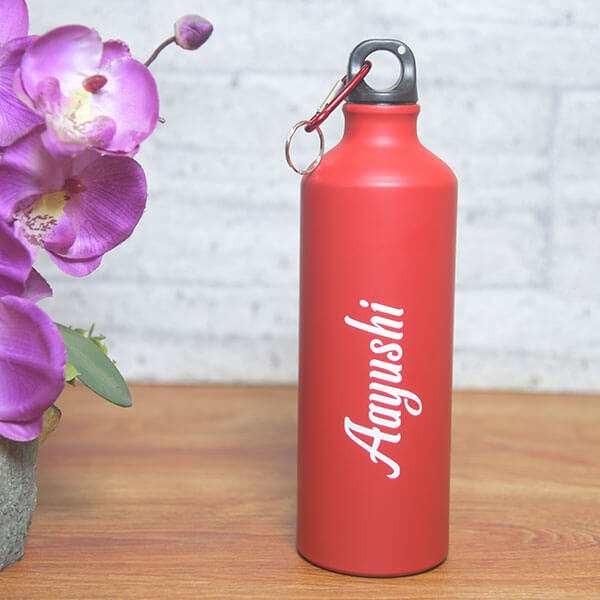 Online Girlfriends For Snippers Bottles With Carnations Flowers