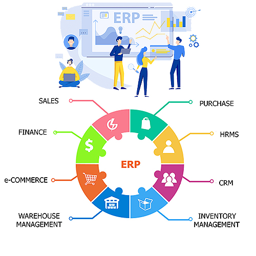 Best ERP Customization and Development Services