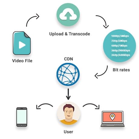 How to create a Video On Demand Website With Zero Coding?