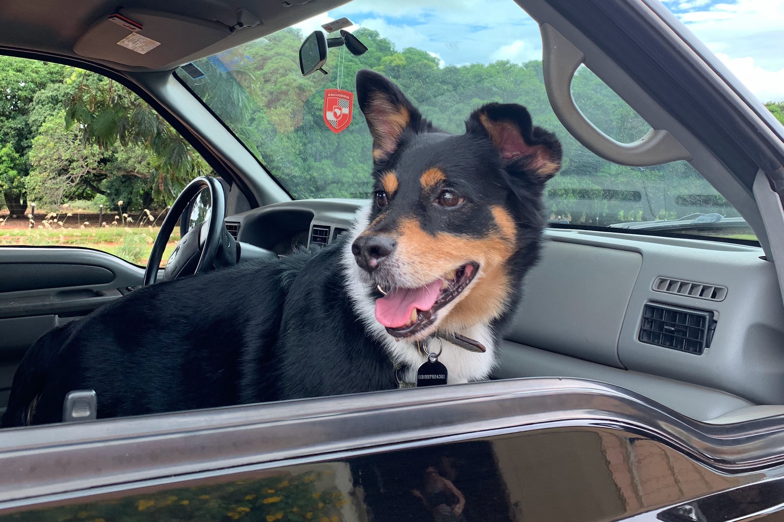 10 Tips For Staying Awake While Driving