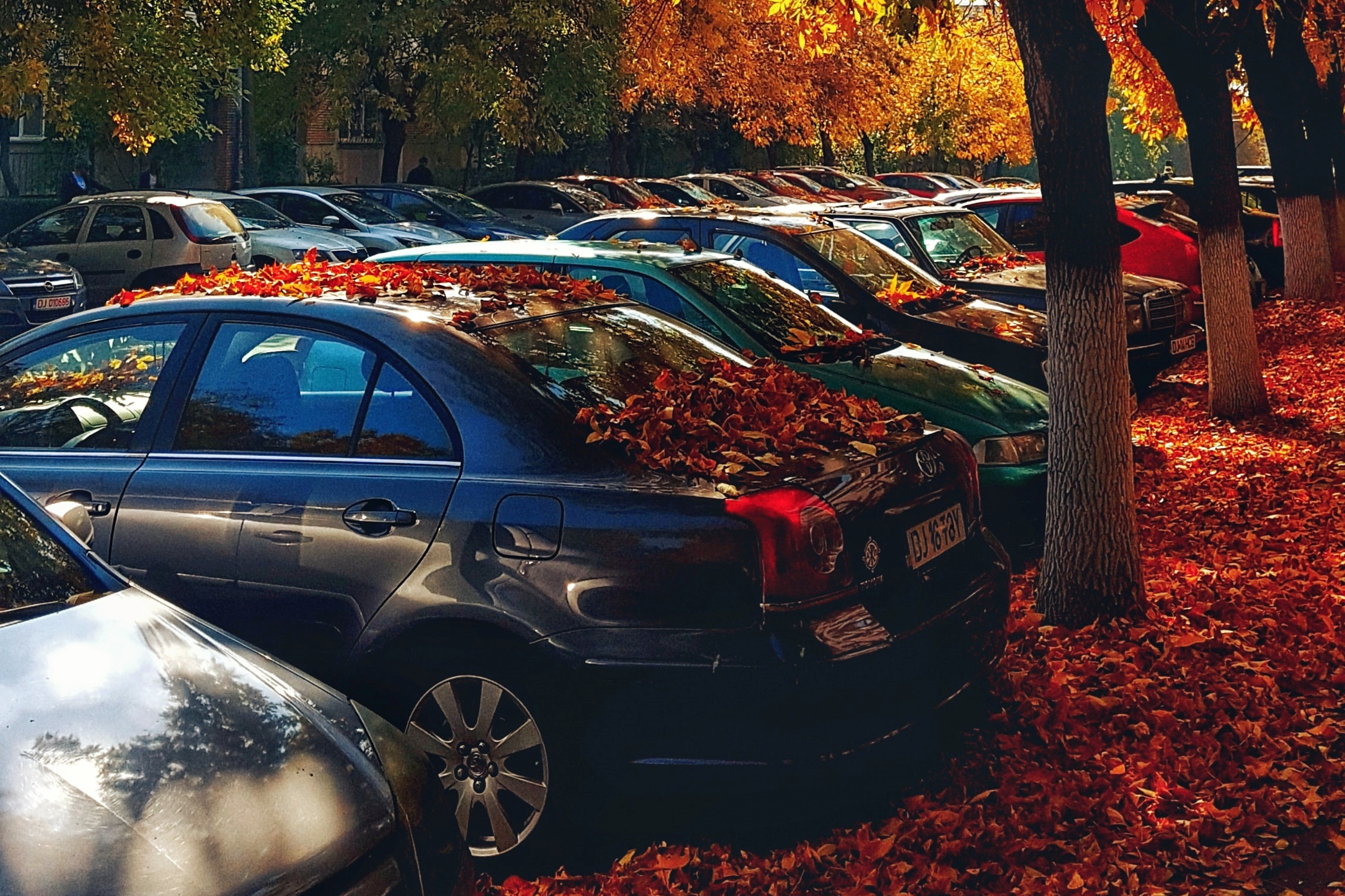 How Bad Driving Habits Damage Your Car