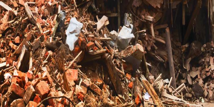 Trash and Junk Removal Services