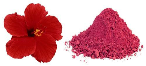 Hibiscus Flower Powder Market Size, Demand, Competitive Analysis, Regional Growth and Forecast by 2026