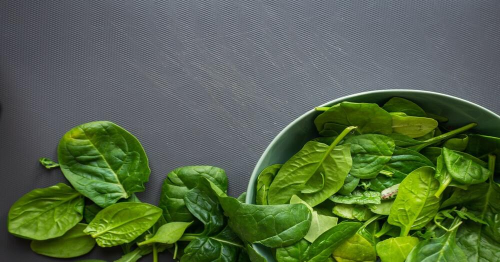 THE HEALTH BENEFITS OF SPINACH| ABONO BIOTECH