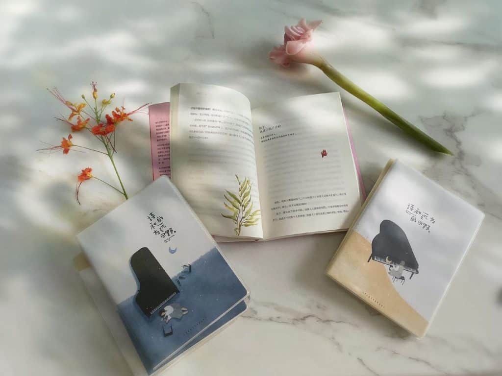 Past Result | Higher Chinese Tuition