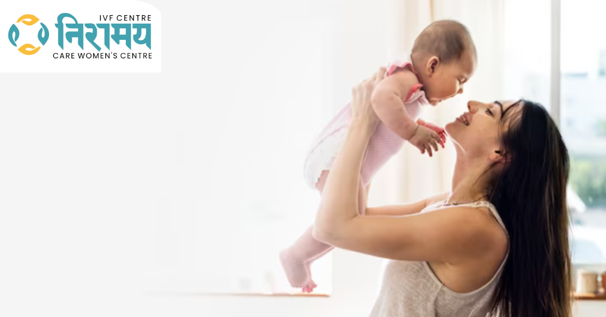 Exploring the Cost Factors of the IVF Process