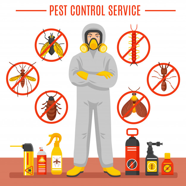 How to Prevent a Stored Product from Pest Infestation