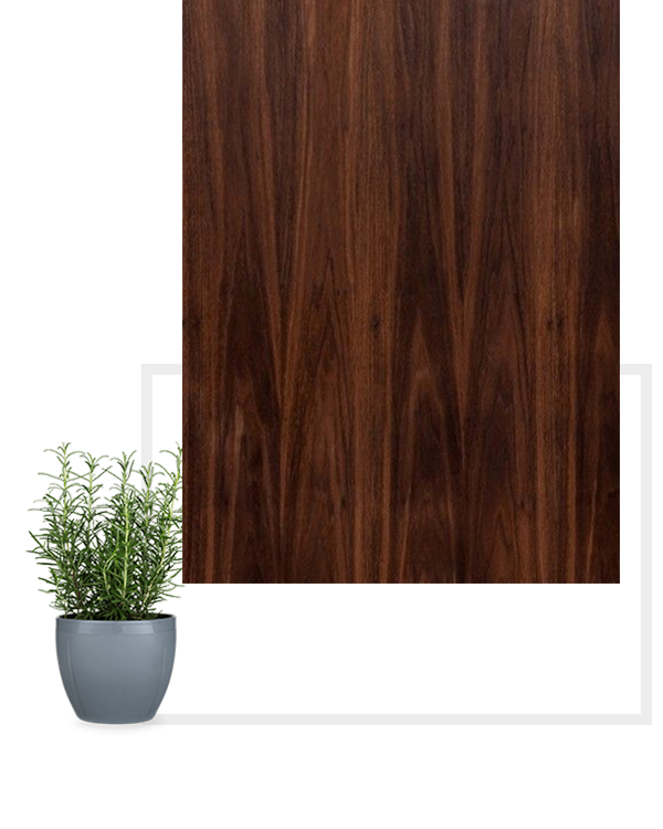 Plywood Manufacturing Company In India