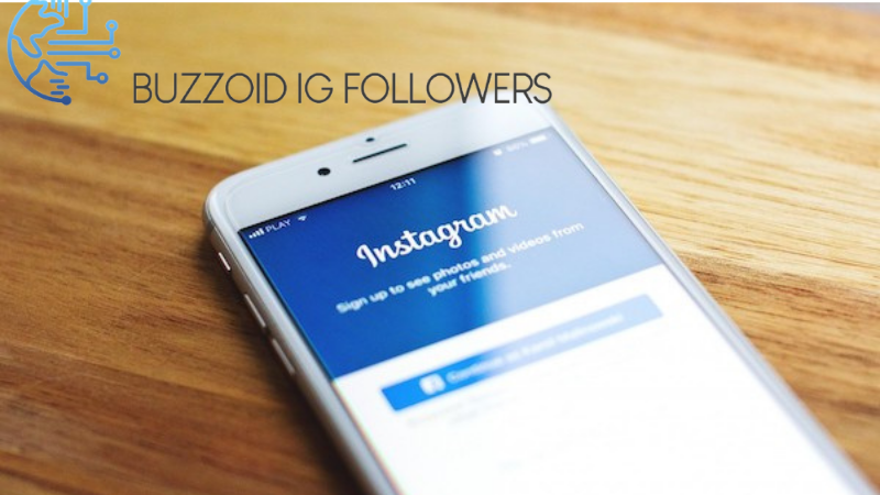 Buy Buzzoid Instagram Followers: IG Followers Need To Start Business?