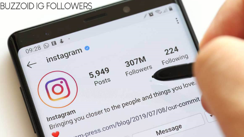Get Buzzoid Followers: BuzzoidIGFollowers Top Website Buy IG Followers