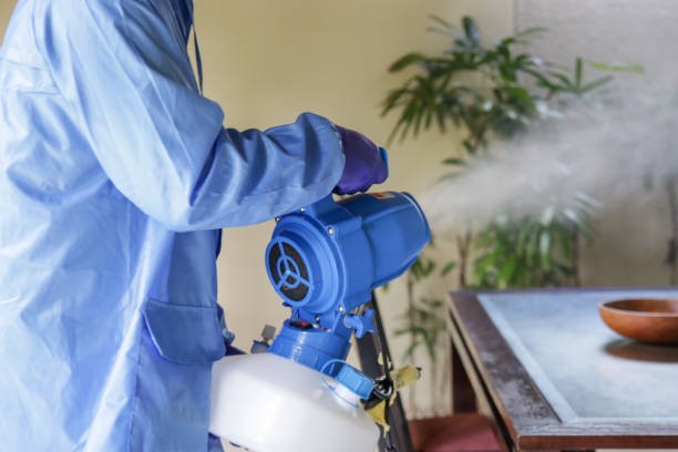 Choose Best Pest Control Services in Sandton