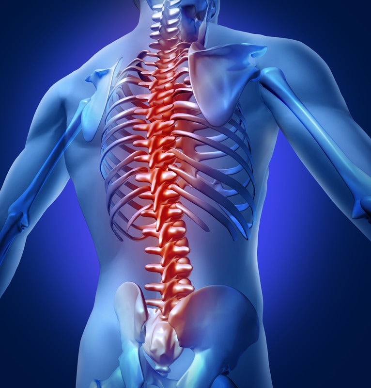 How chiropractic treatment improves muscle pain