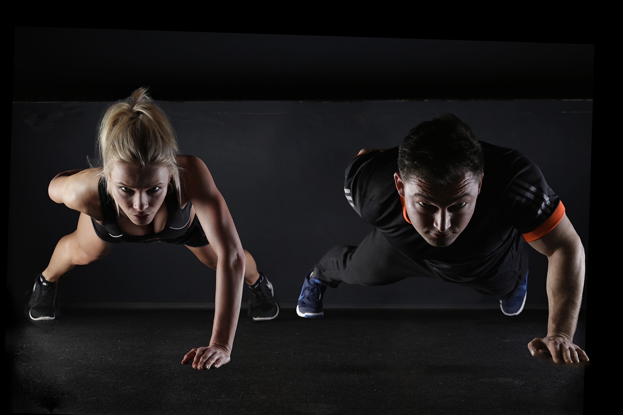 F95Zone, the Ultimate Fitness Experience