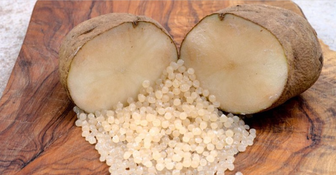 Starch Blended Biodegradable Polymers Market Global Industry Trends and Forecast Report Till 2026