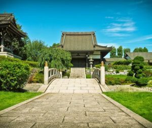 Tree Doctor in Orland Park
