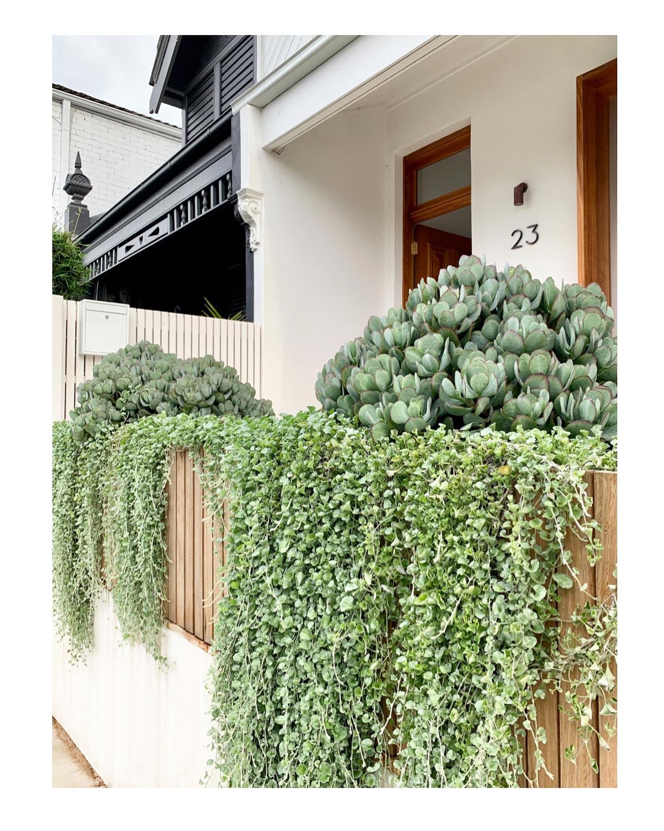 Bondi Landscapes - Landscape Architecture - Landscape Designe - Bondi Beach - Western Australia