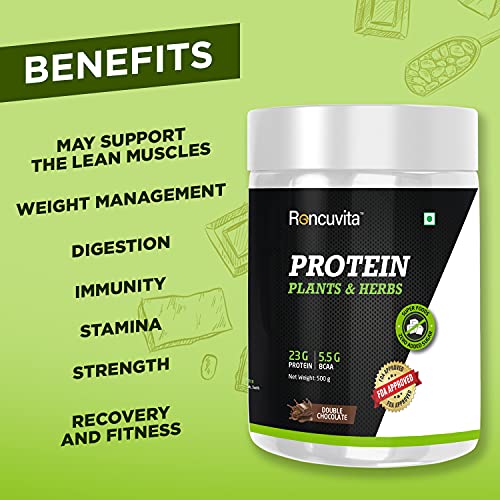 When Is the Best Time to Take Plant Protein Powder?