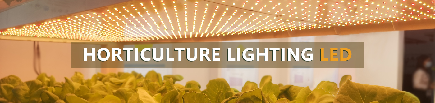 How To Find The Right Kinds Of LED Lights For Premises