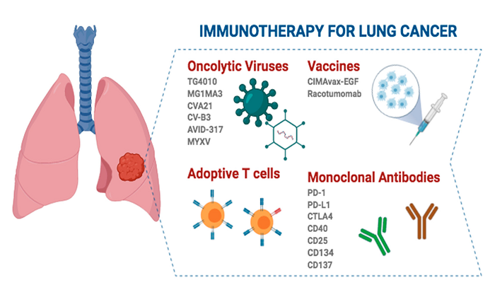 What are the Benefits of Immunotherapy Treatment for Lung Cancer Patients?