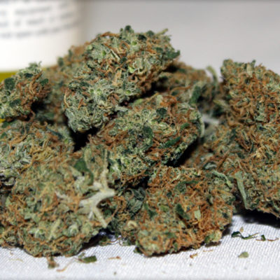 AK Banana Strain Marijuana Online | Doctor Green Shop