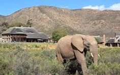 Cape Agulhas Day Tour