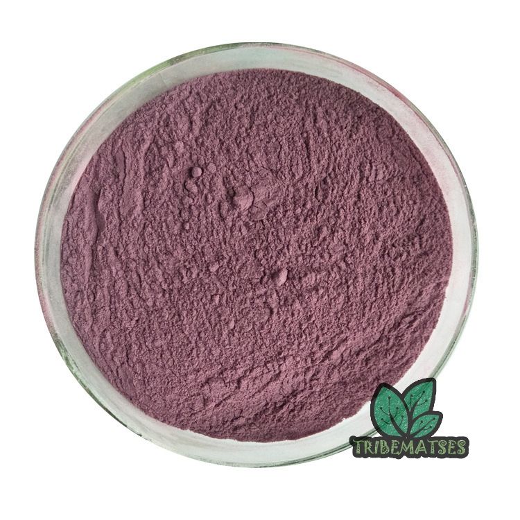 Buy Mimosa Hostilis Root Bark and Prepare the Tea at Home!