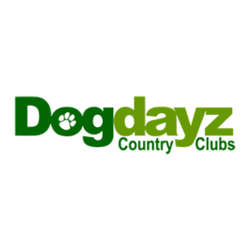 Elevate Your Dog's Stay with Dogdayz: Unraveling the Best in Dog Boarding and Dog Minding