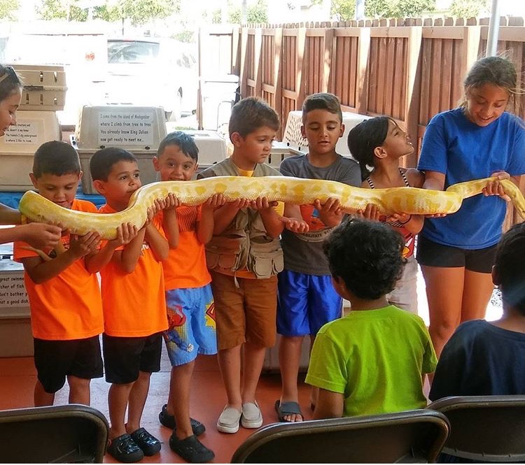 Clowns for Hire for Birthday Parties