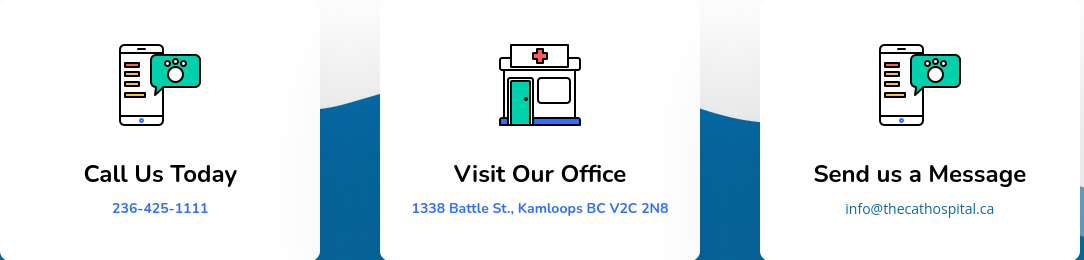 What Factors Help Your Choice of a Good Veterinarian?