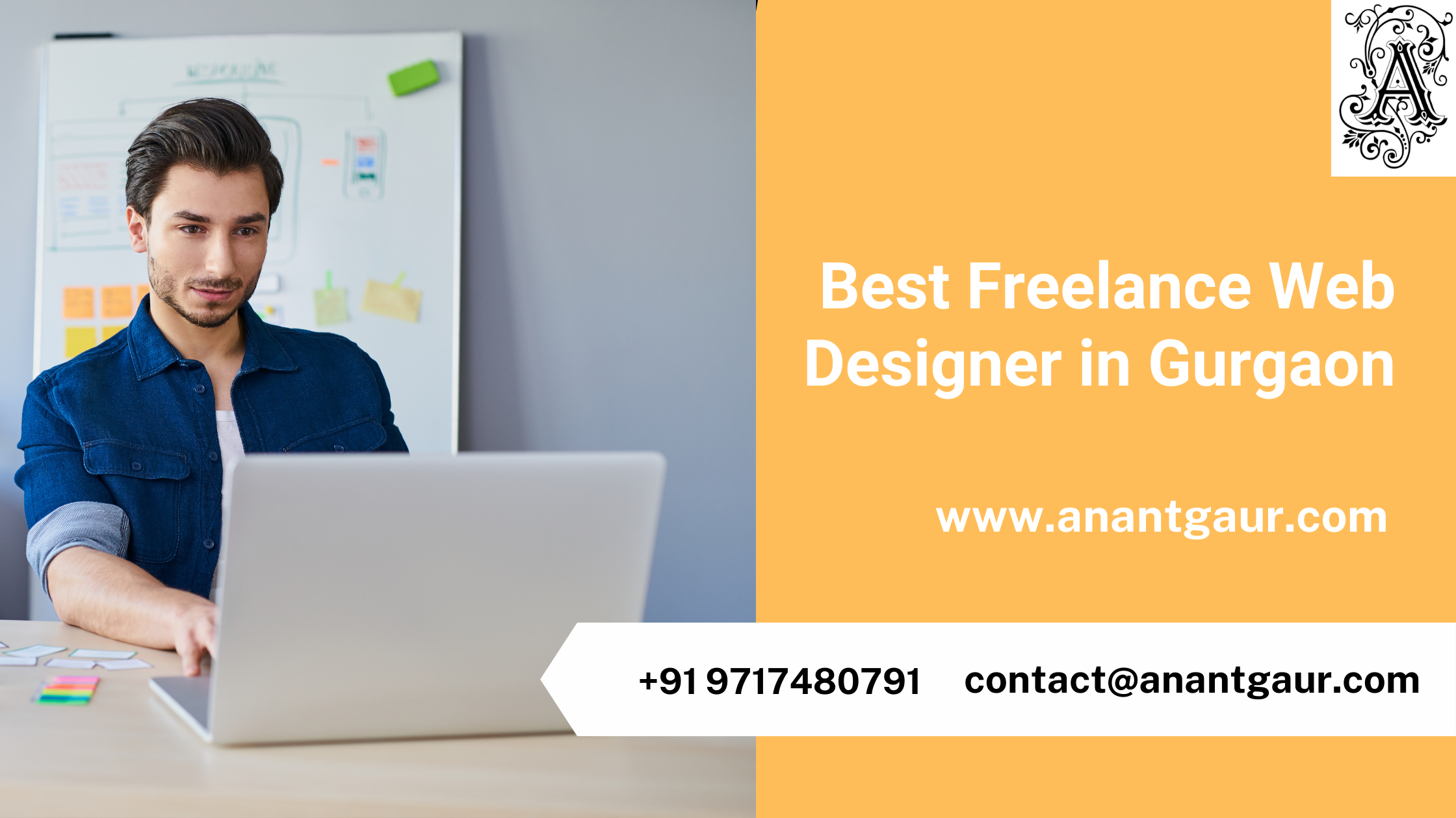 freelance website designer in Gurgaon