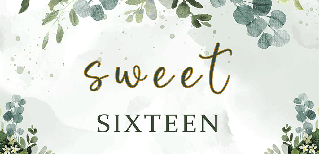 Sweet 16 party you will love!
