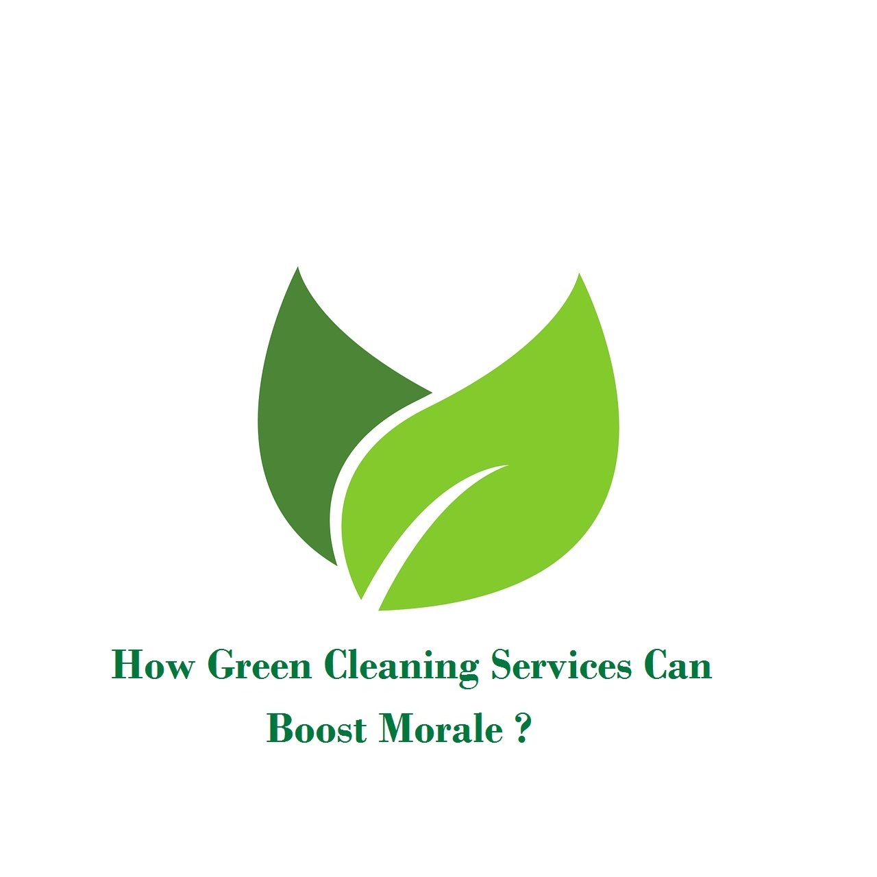 How Green Cleaning Services Can Boost Morale?