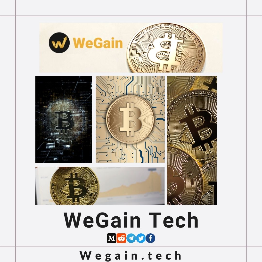 What Are Cryptocurrency Custody Solutions? WeGain Tech