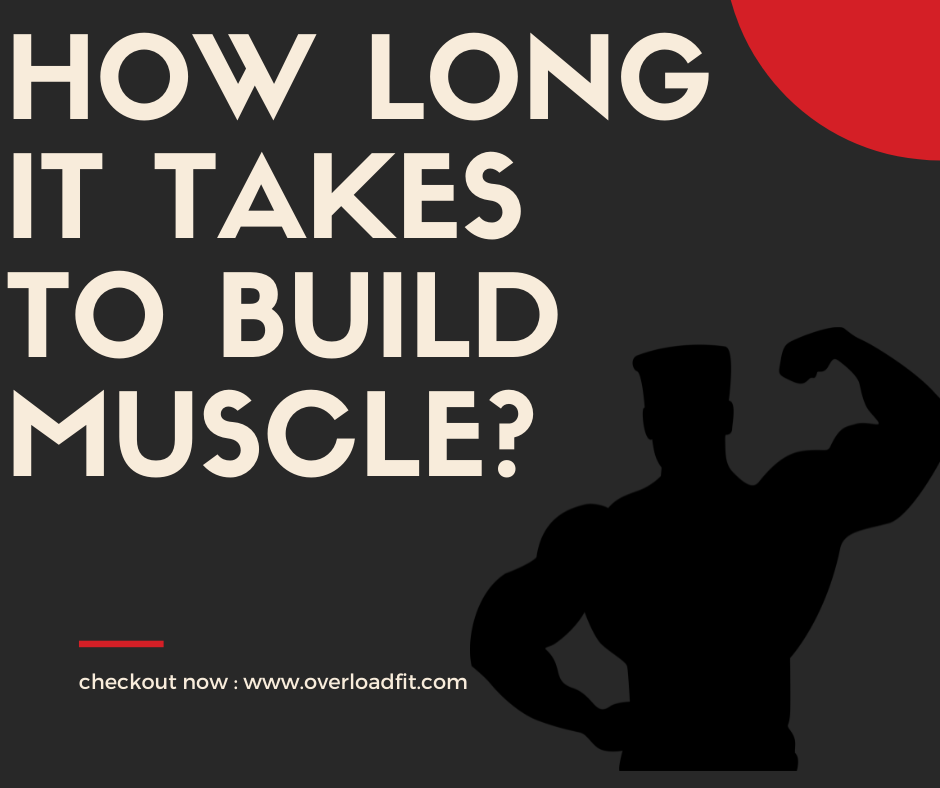 How long it takes to build muscle?