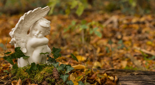 5 Misconceptions People Have About Cremation Services