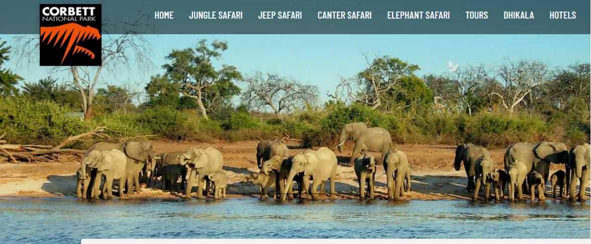 Corbett Elephant Safari|Jim Corbett Park | Corbett Travels
