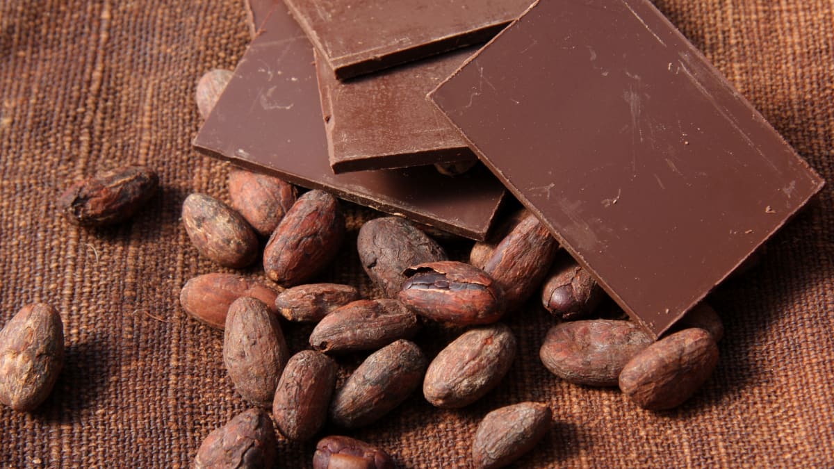 Cocoa & Chocolate Market Growth Opportunities By Regions, Types, Applications And Forecast To, 2026