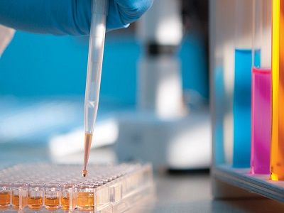 M-Xylylenediamine Market Share, Trends, Product Estimates & Strategy Framework To, 2021-2026