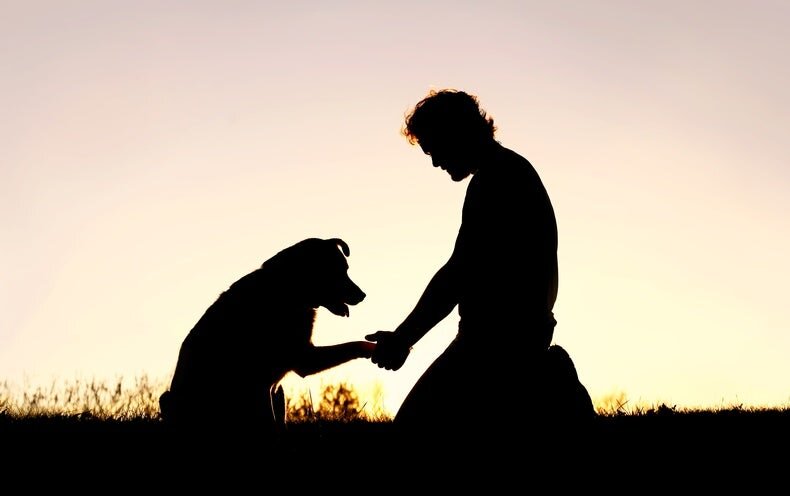 Pet Cremation services in Los Angeles