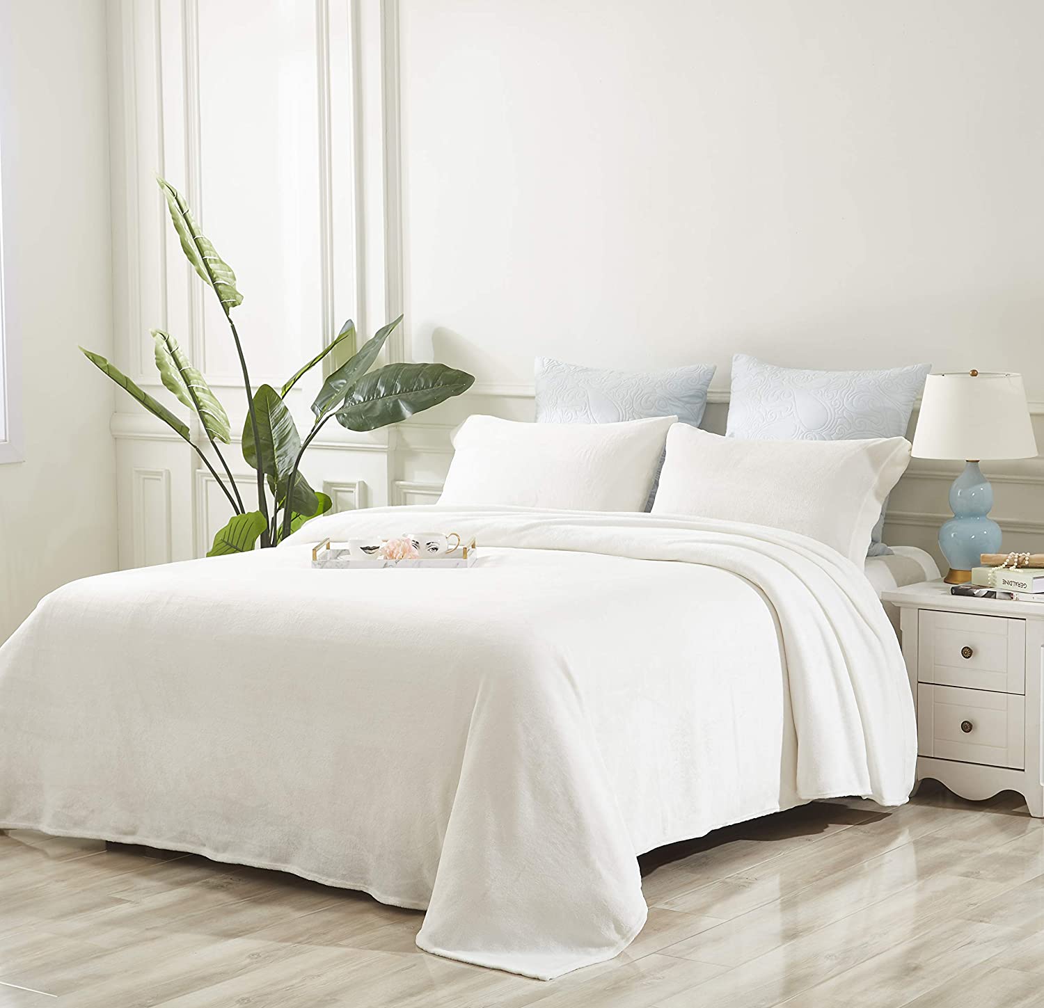 Cozy Fleece Velvet Plush Sheet Set