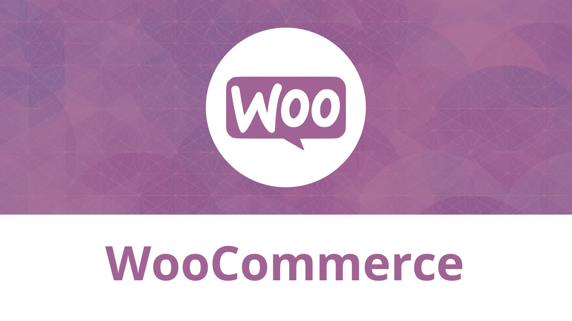 Custom Woocommmerce website development can improve your Store Leads