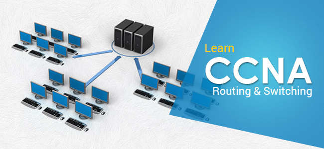 Best Institute for CCNA Training Course in Gurgaon/Gurugram