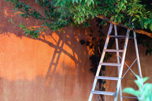 Everyone is talking about Telescopic Ladder, Find out why?