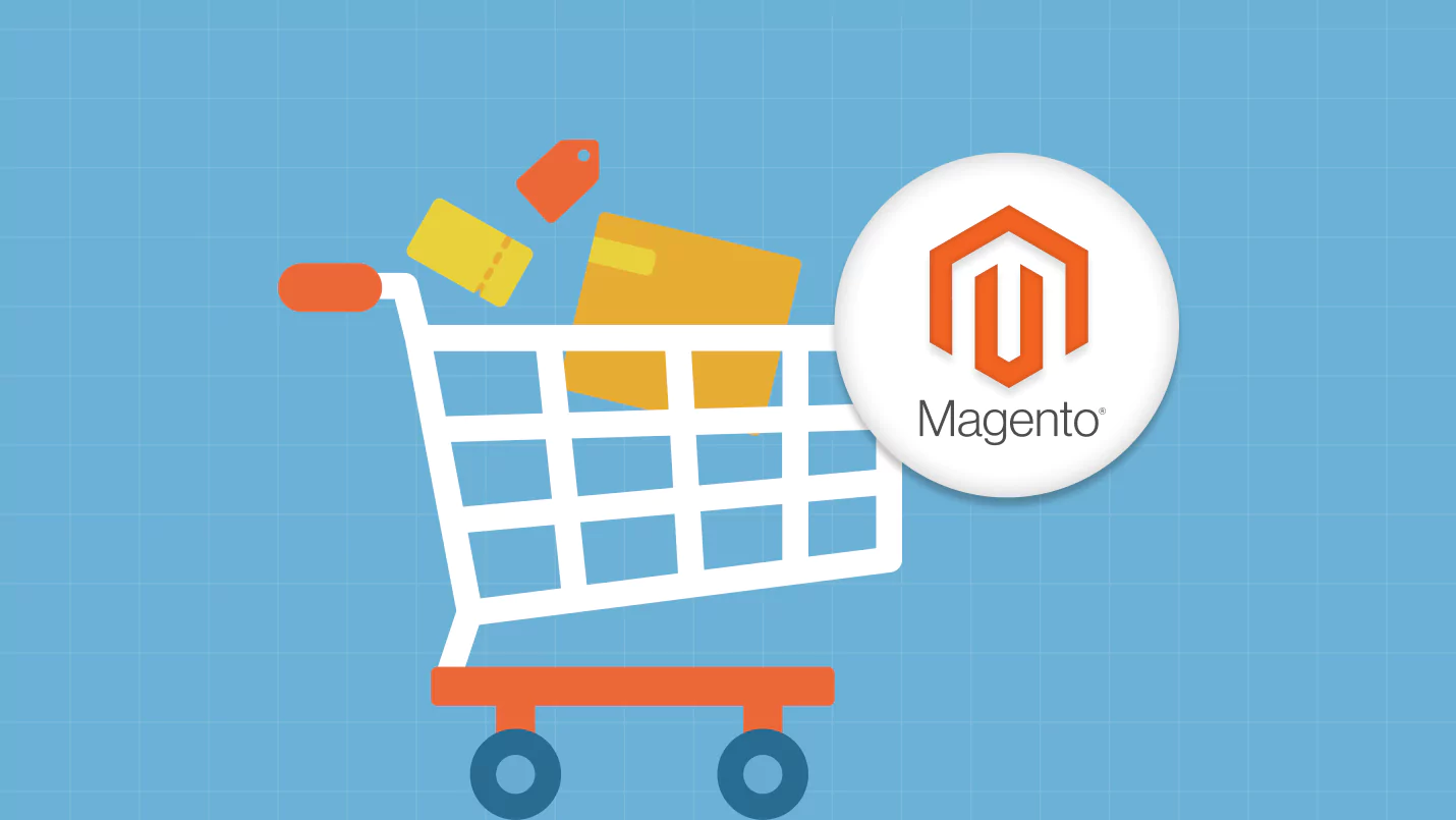 Magento Enterprise Development Case Study: From Startup to Scalable Empire