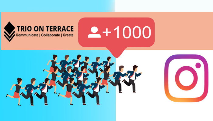 How to grow instagram followers 2022