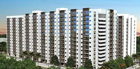 Ecommerce Website Design Agency